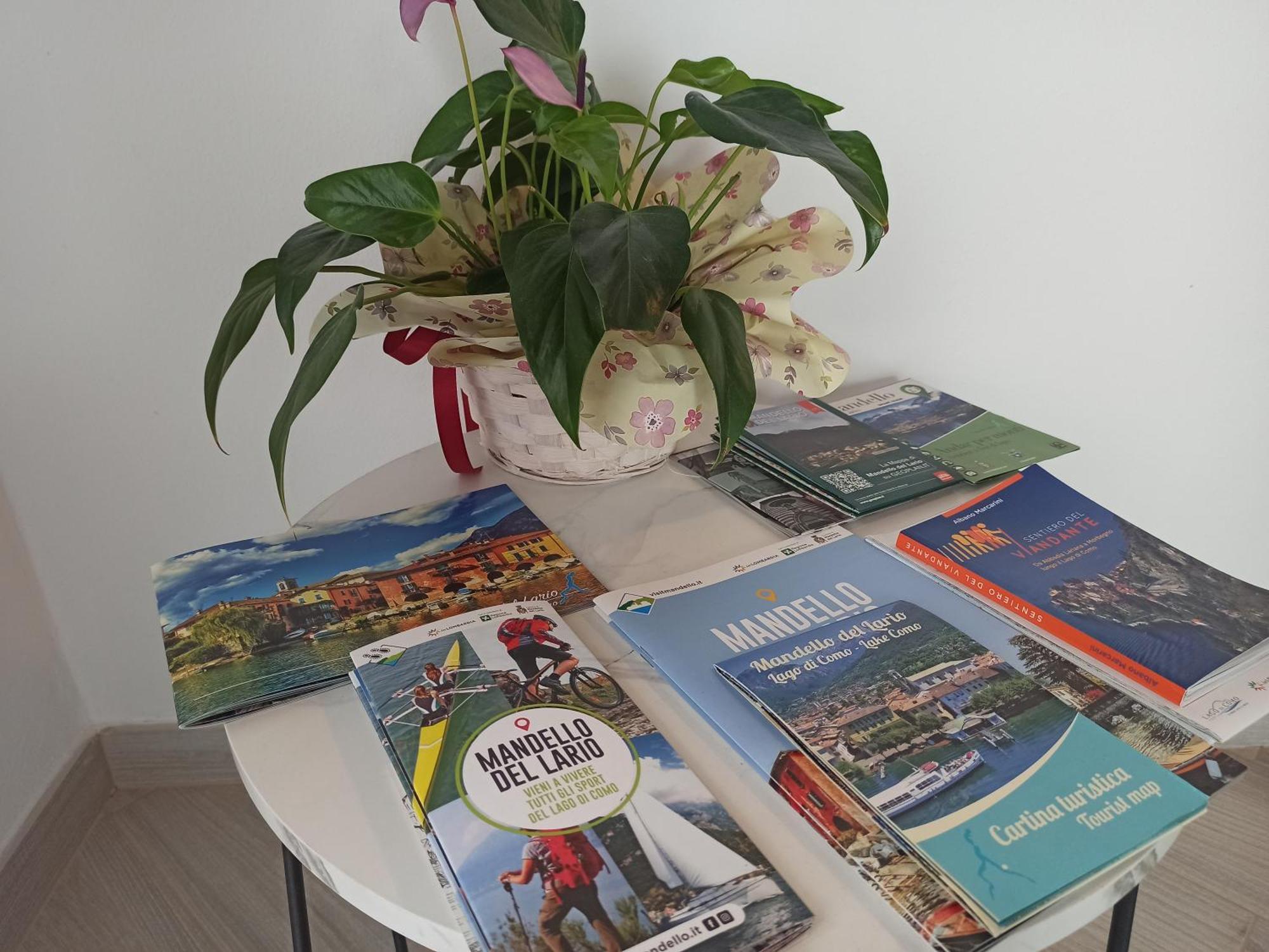 Larius Apartment - Como Lake View Mandello del Lario Εξωτερικό φωτογραφία