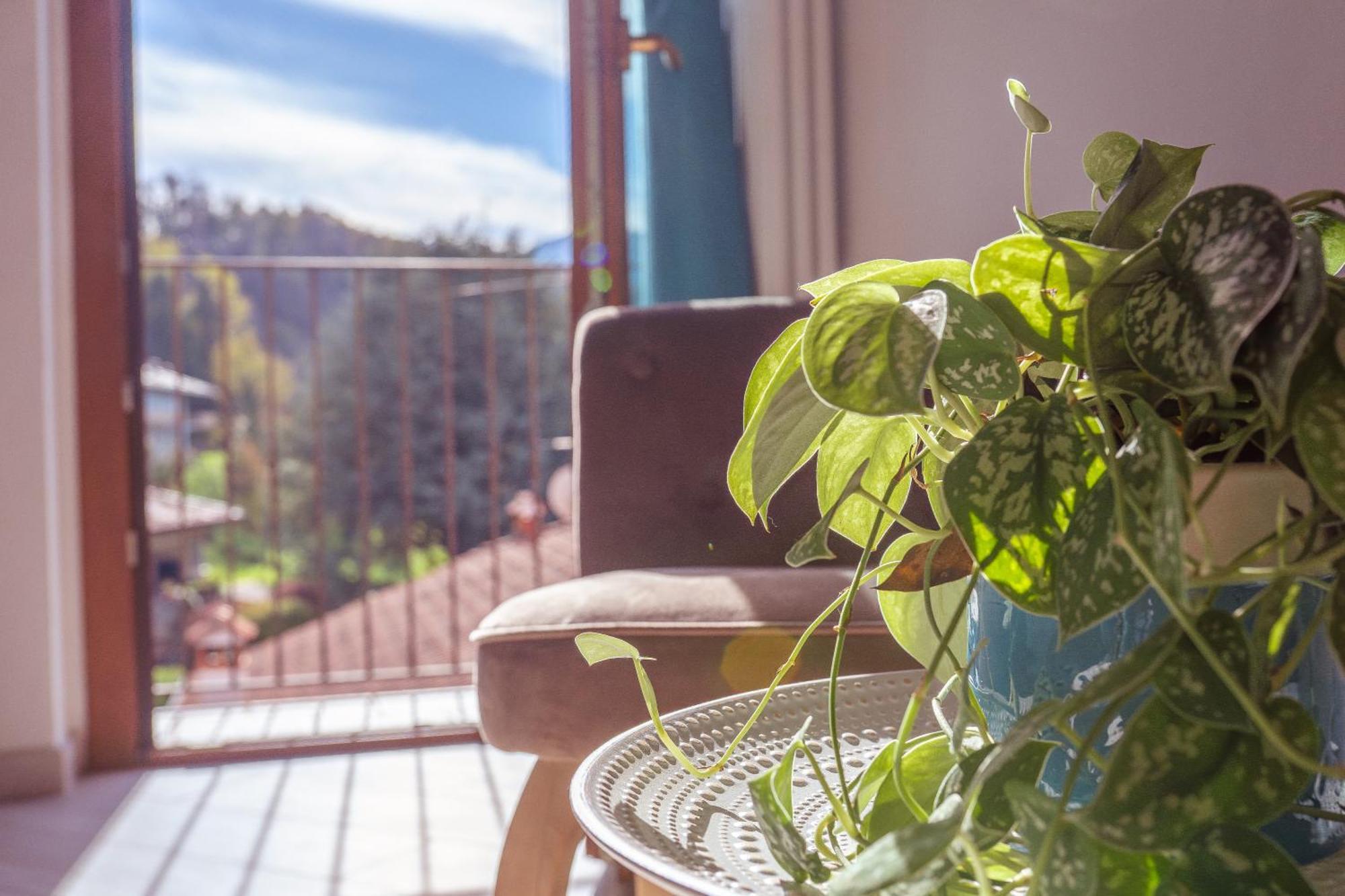 Larius Apartment - Como Lake View Mandello del Lario Εξωτερικό φωτογραφία