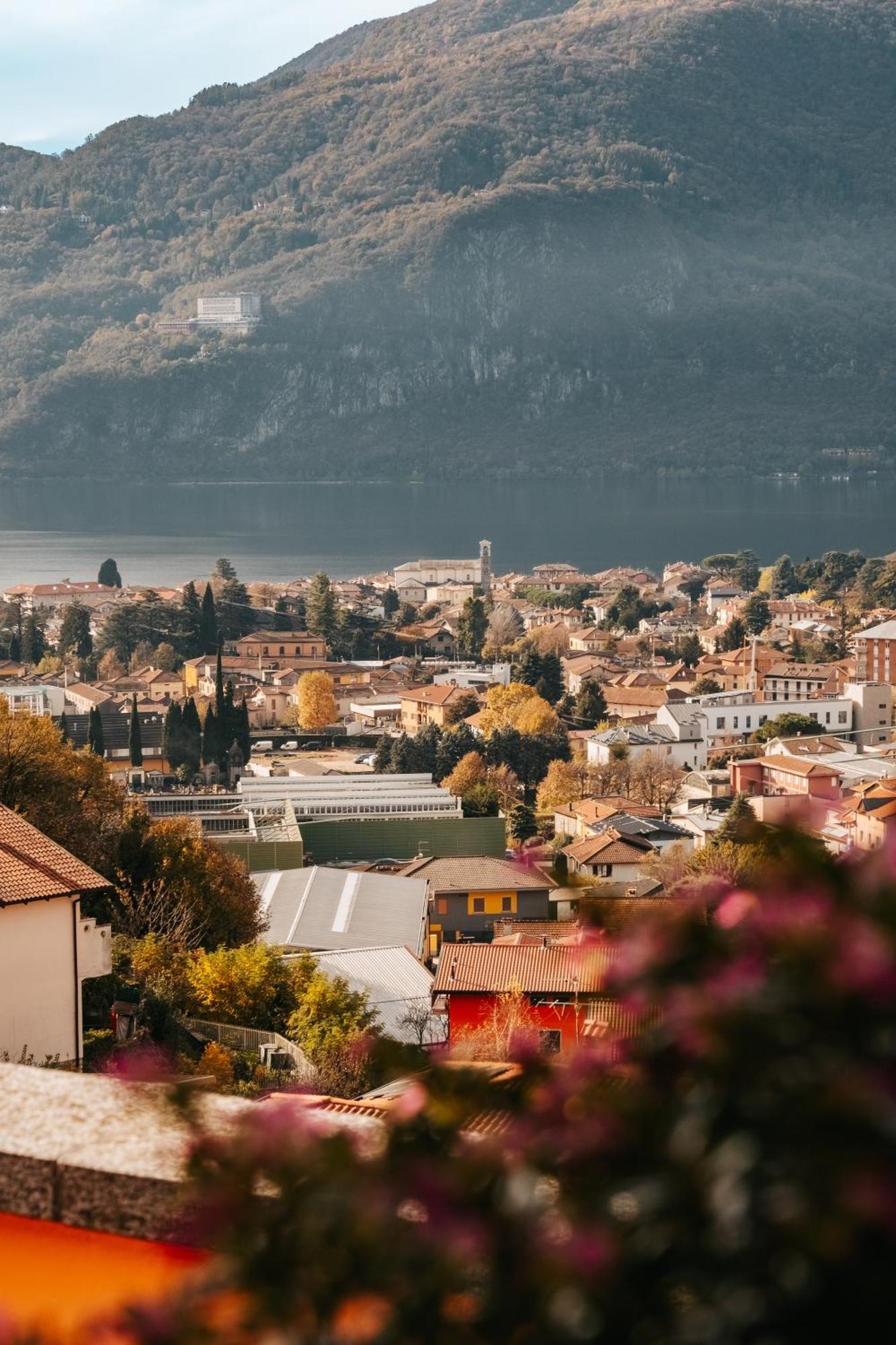 Larius Apartment - Como Lake View Mandello del Lario Εξωτερικό φωτογραφία